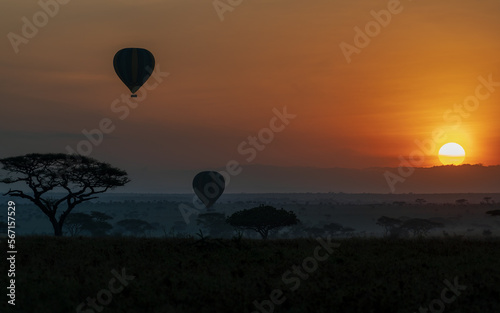 Hot air balloons in the savannah dawn. Serengeti, Tanzania (Africa) 