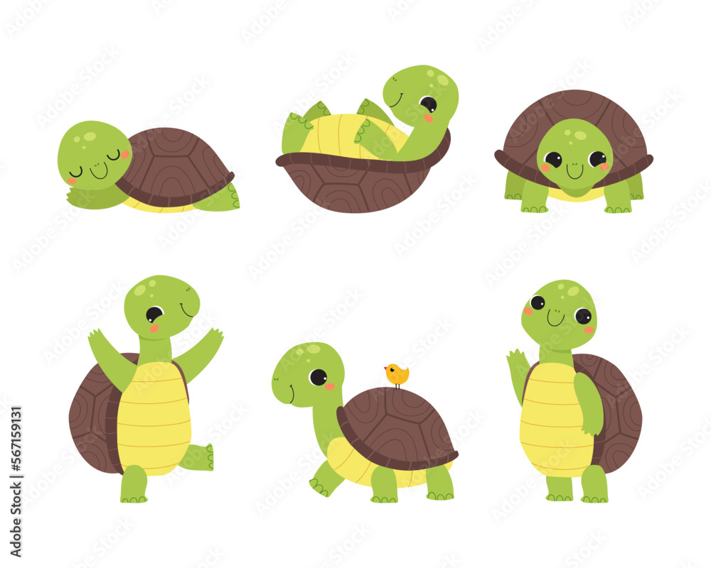 Obraz premium Cute Turtle with Shell and Short Feet Engaged in Different Activity Vector Set