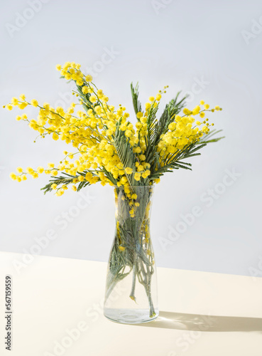 A bouquet of yellow mimosa flowers stands in a glass vase with shadow on a yellow background.