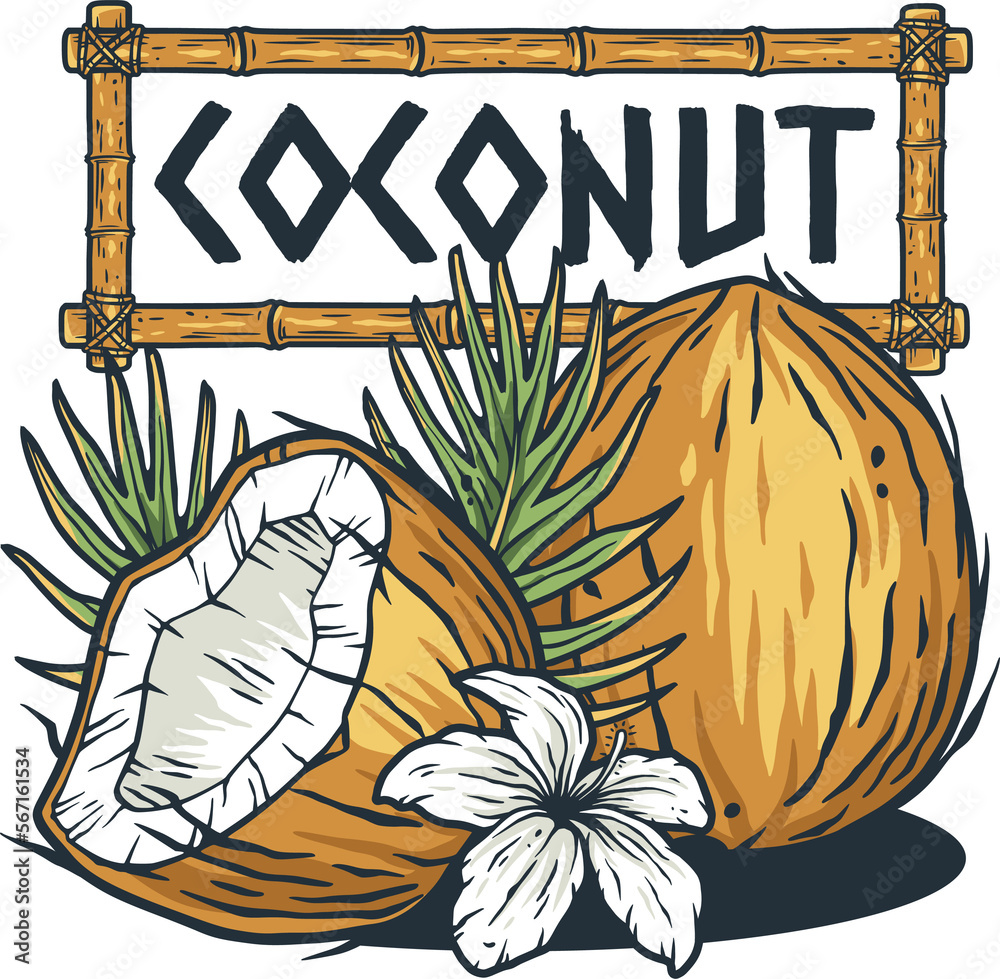 Coconuts. Summer tropical fruits design with text area