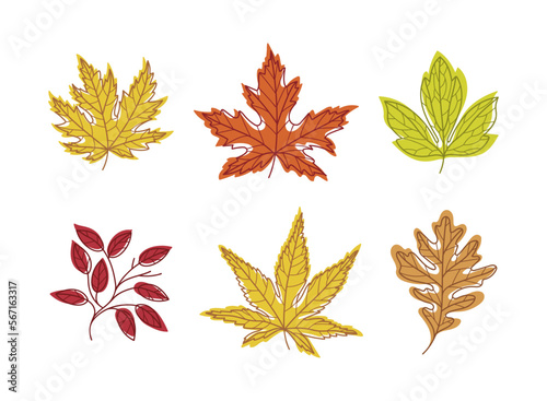 Bright Autumn Foliage with Different Leaf Color Vector Set