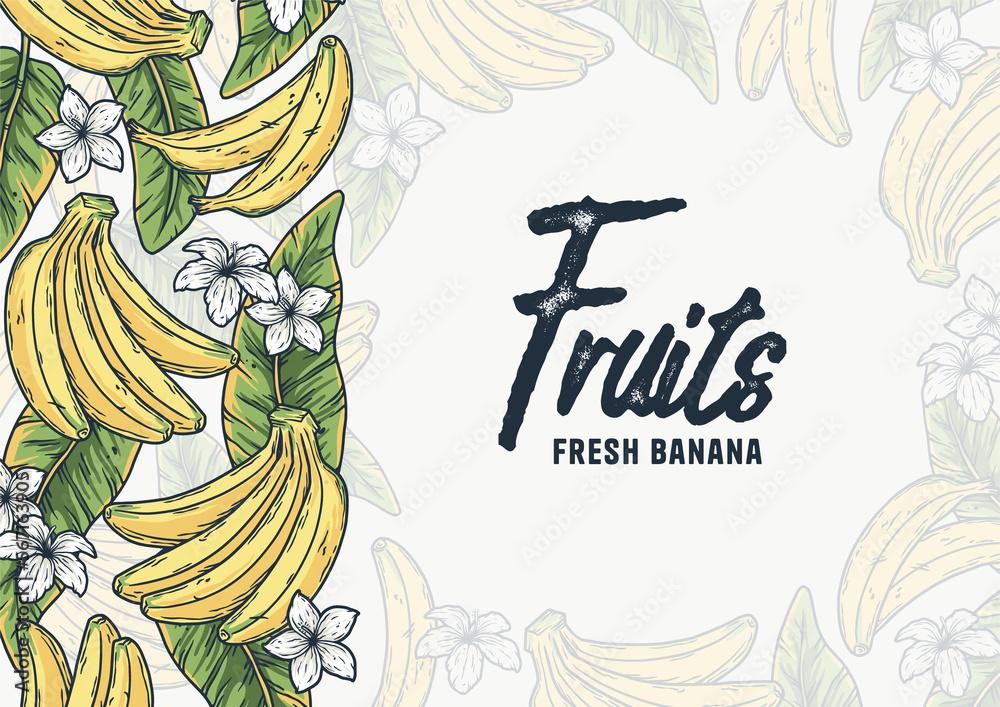 Bananas frame with text area. Summer tropical fruits