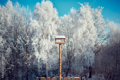 Karmnik Zimą