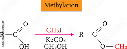 Methylation is the process of adding a methyl group to a molecule , vector image