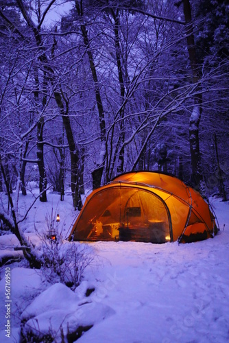 camping in the forest