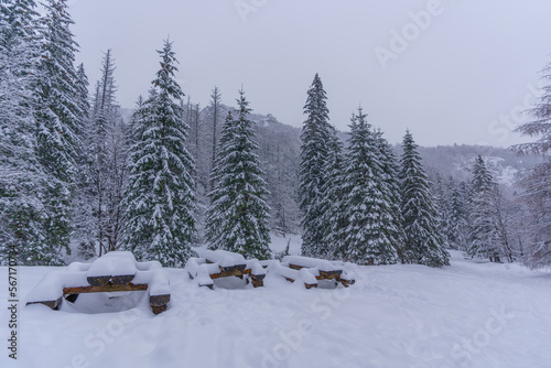 Heavily snow-covered benches in a mountain forest in the Tatra Mountains
