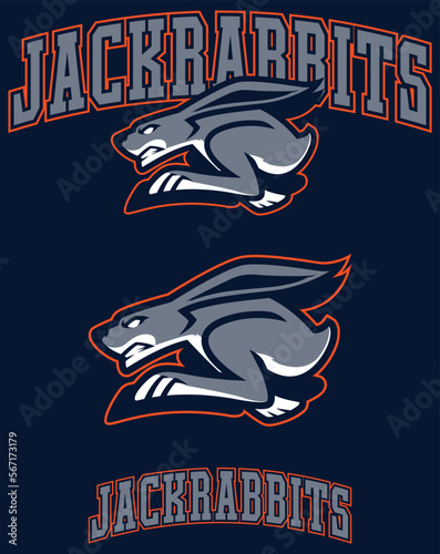 Jackrabbits Team Mascot