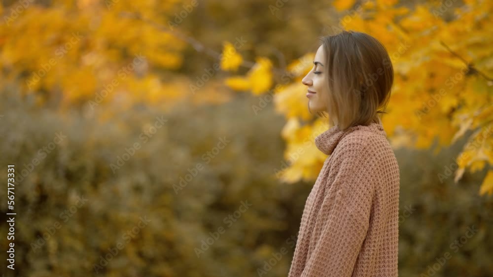 stunning young brunette woman in autumn forest with yellow foliage. stylish attractive girl walks in park at warm fall day. slow motion 4k footage stunning young brunette woman in autumn forest with yellow foliage. stylish attractive girl walks in park at warm fall day. slow motion 4k footage