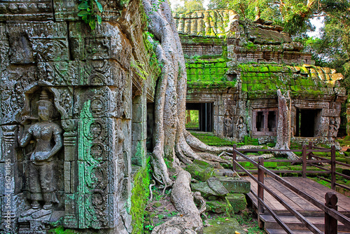 Ta Phrom Temple and gigantic trees and roots photo