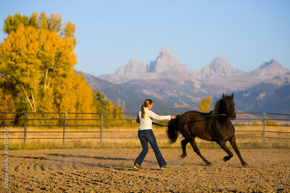 Lunging in the round pen. Tetons and fall colors in the background