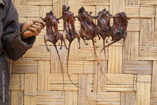 Man holding skewer of grilled rats, Ban Phon Hom, Phongsaly, Laos