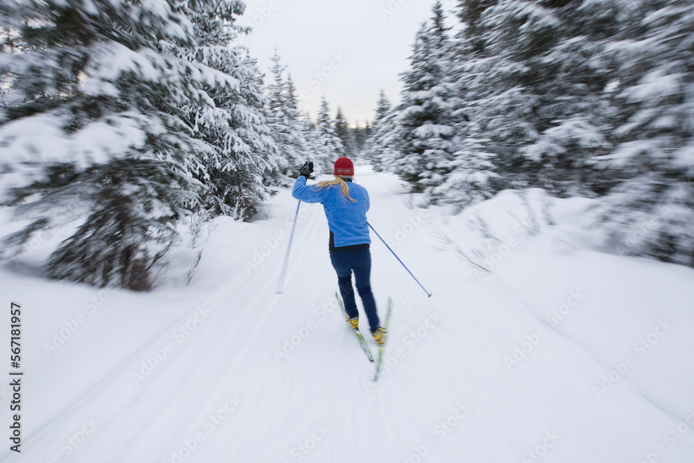Young woman cross country skiing through trees in Alaska. Young woman cross country skiing through trees in Alaska.
