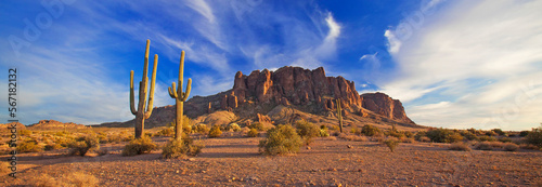 View of the Superstion Mountain Range from Lost Dutchman State Park in Apache Junction, Arizona, USA.