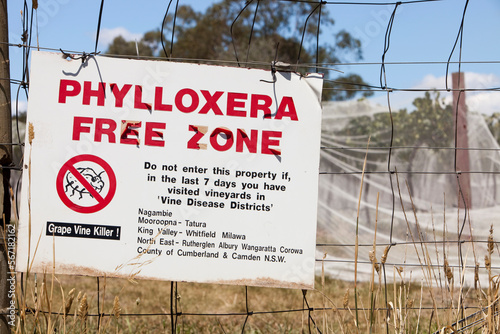 Grape vines in near Shepperton in Victoria covered up to protect them from birds. With a Phylloxera warning sign. photo