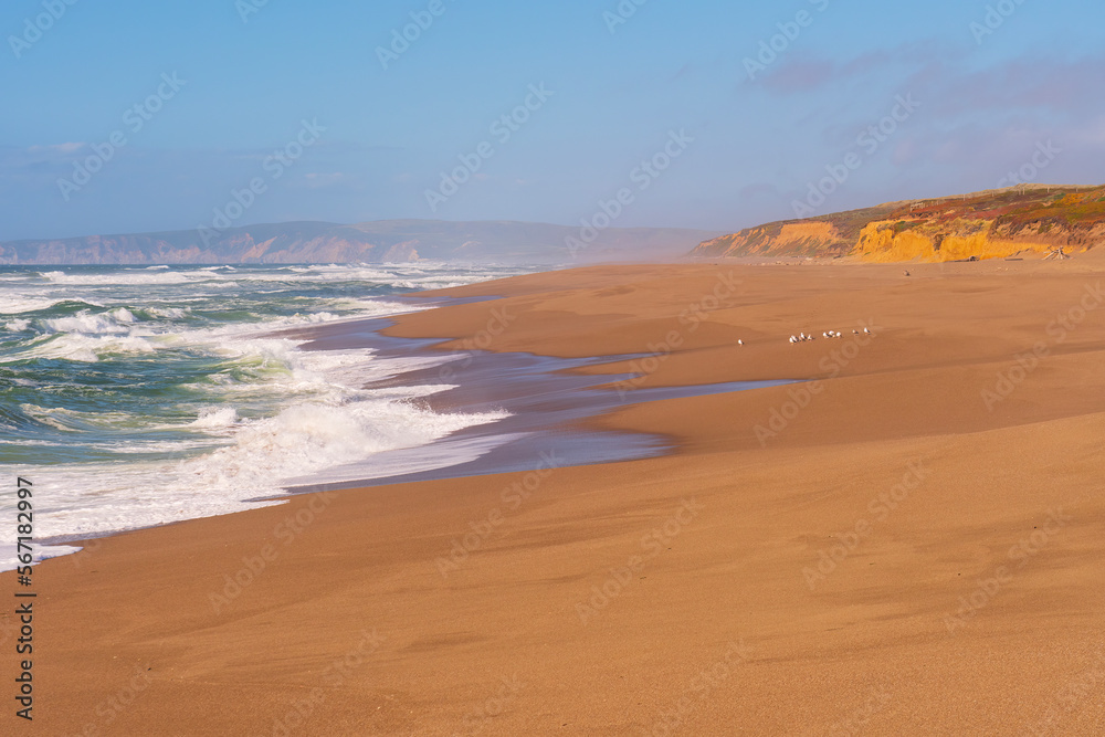 Lonely Beach on a Remote Coast