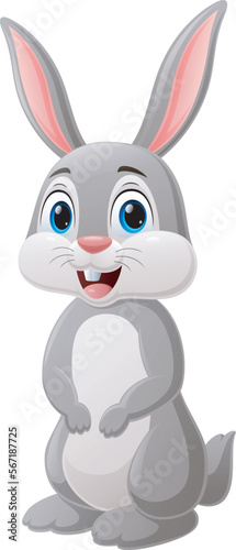 Cute rabbit cartoon on white background