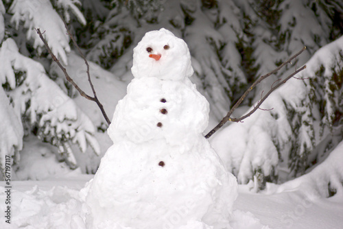 Snowman surrounded by evergreen bows covered with snow.