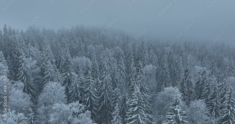 Aerial top view drone shot of the pine and spruce trees forest covered with snow in the Tatra Mountains in Slovakia. Beauty in nature and ecology concept image. Aerial top view drone shot of the pine and spruce trees forest covered with snow in the Tatra Mountains in Slovakia. Beauty in nature and ecology concept image.