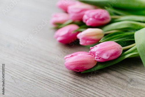 Pink tulips lie on a wooden surface. Spring background with flowers. Valentine's day card.