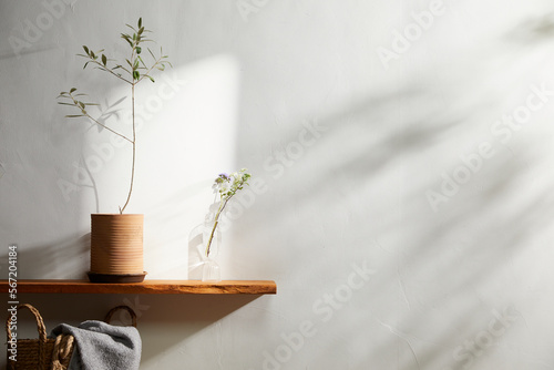 Wallpaper Mural Stylish composition of home garden interior filled a lot of beautiful plants,  air plant in different design pots. Home gardening concept Home jungle. Copy spcae. Template Torontodigital.ca