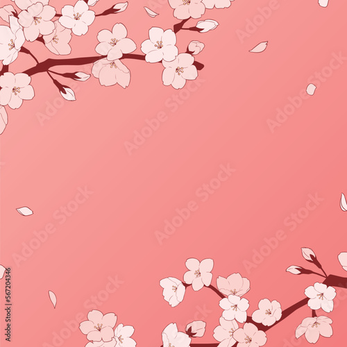 フレーム素材_桜