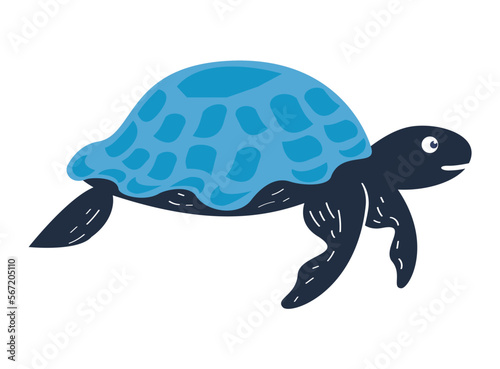 turtle sealife animal