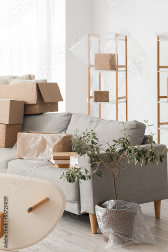 Sofa with cardboard boxes a...