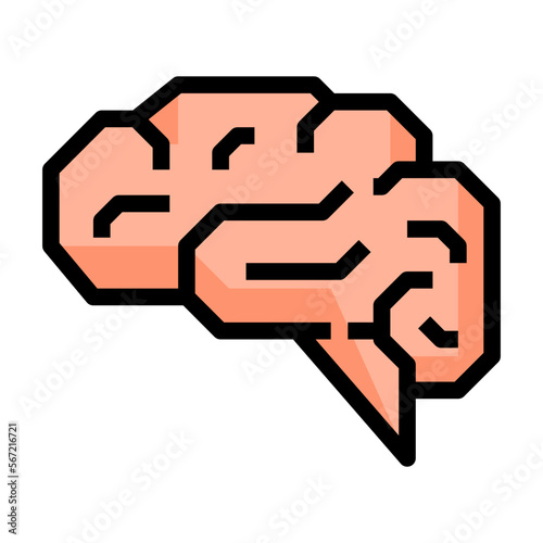 brain icon
