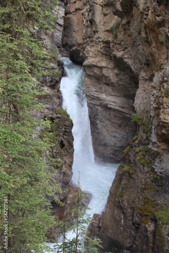 waterfall in the forest, Banff National Park, Alberta
