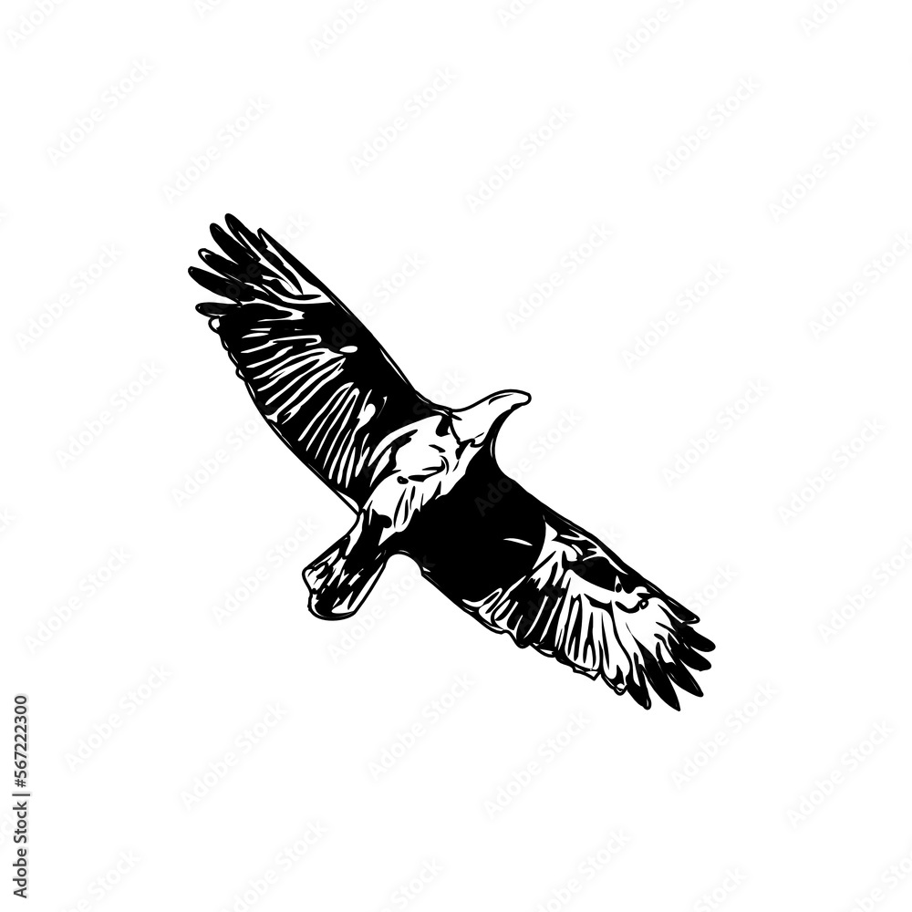 Naklejka premium black and white sketch of a flying bird with transparent background
