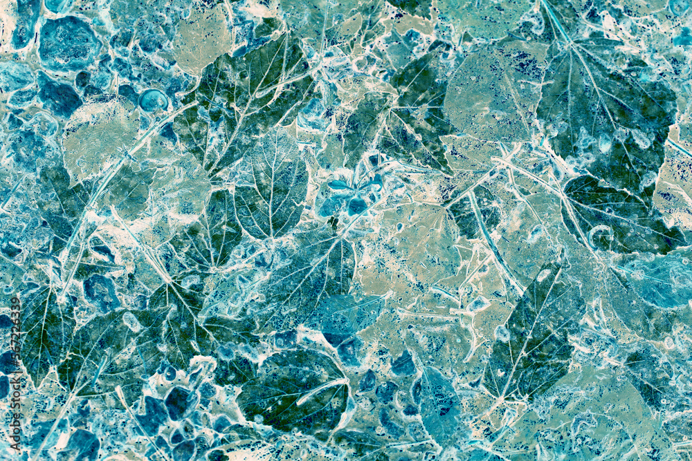 Obraz premium Glacier color manipulated fallen leaf shaped patchwork texture, looking like marble crack patterns.