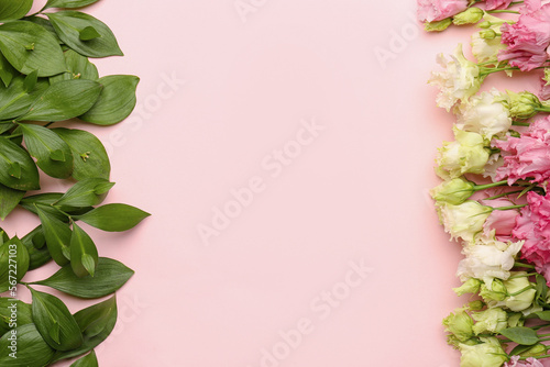 Composition with beautiful eustoma flowers and green plant branches on pink background. Hello spring