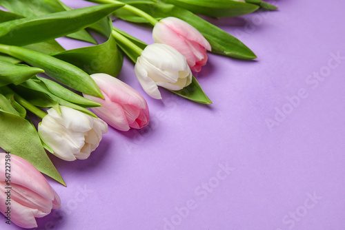 Beautiful tulip flowers on lilac background, closeup. Hello spring