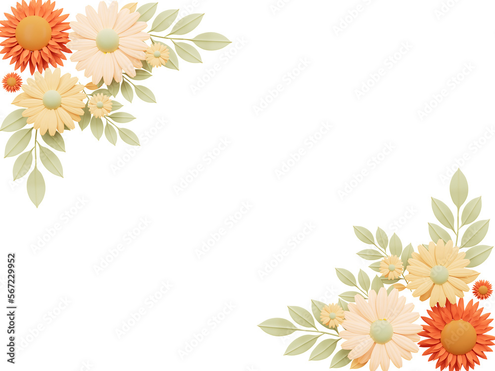 Chamomile flower spring concept cutout