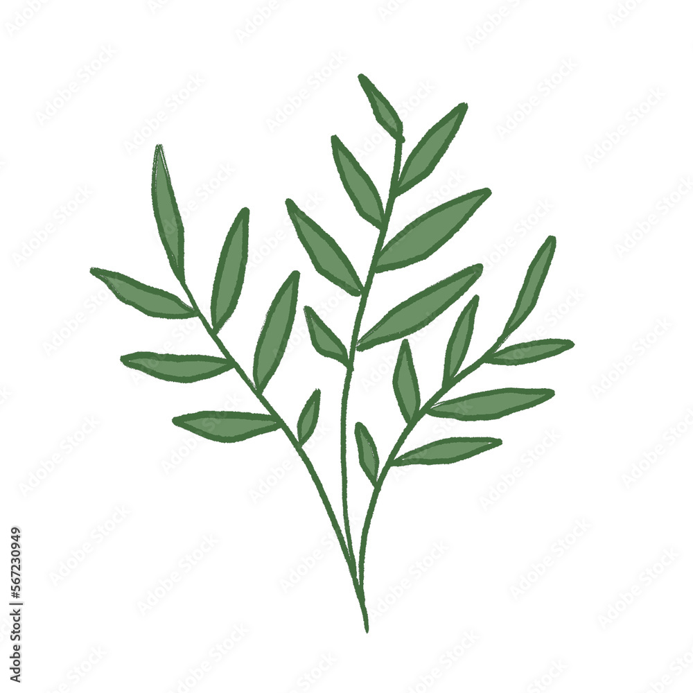 Green Leaf Illustration