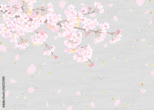 和紙のような背景に桜の枝と舞う花びらのイラスト