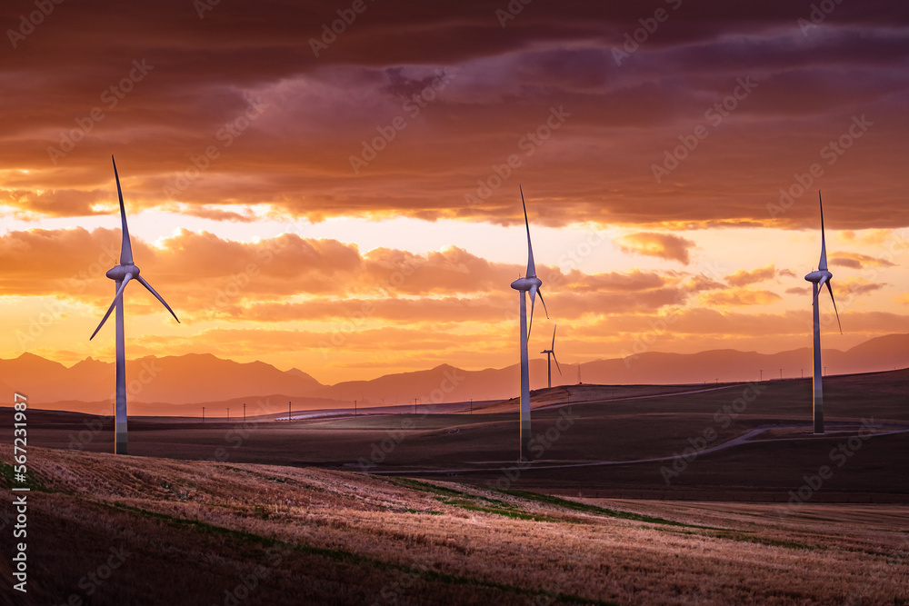 Obraz premium Windmills at sunset generating electricity overlooking distant mountains over agriculture fields near Pincher Creek Alberta Canada.
