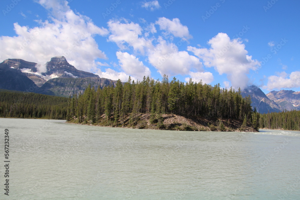 Island In The River, Jasper National Park, Alberta