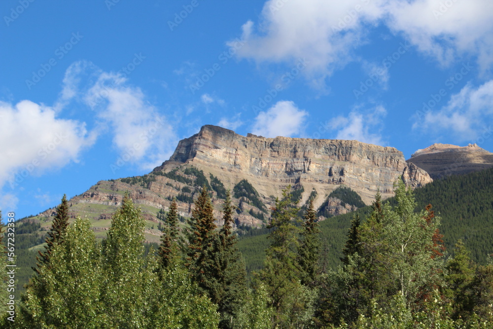 The Ridge, Jasper National Park, Alberta The Ridge, Jasper National Park, Alberta