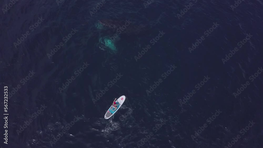 Whales in dark blue water near a boat with a girl. Top view. Watch an exclusive unique collection of video footage about whales. Whales in dark blue water near a boat with a girl. Top view. Watch an exclusive unique collection of video footage about whales.