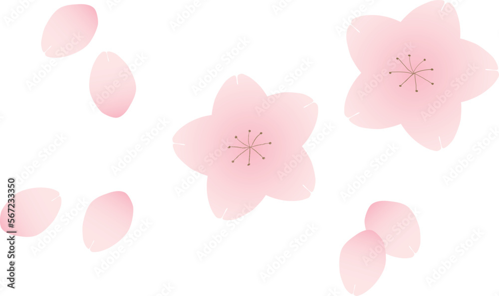 桜の花と花びら　デザイン素材
