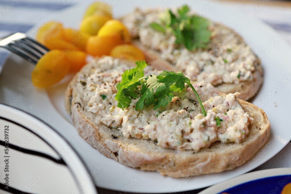 Toasted bread with tuna. Sandwiches with canned tuna and onion. 