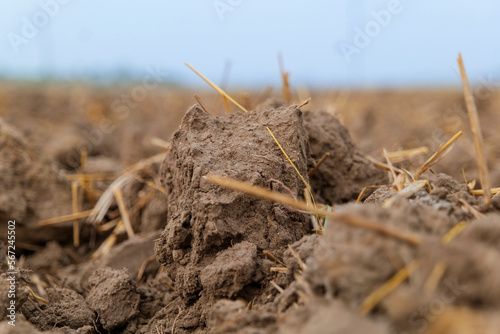 Village agriculture land preparation for cultivation photo