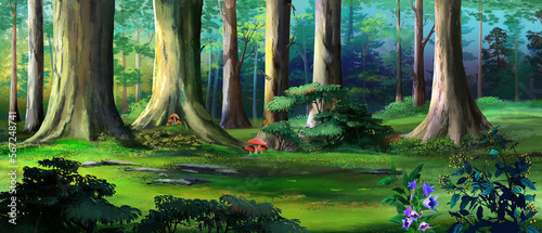 Tree trunk in a forest illustration