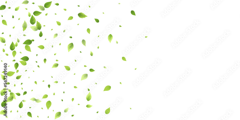 Leaves Green Falling Flying Foliage Leaf Tea Mint Leaves Green Falling Flying Foliage Leaf Tea Mint