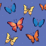 beauty butterflies insects pattern