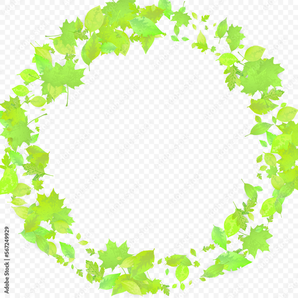 Fototapeta premium Leaves Falling Spring Flying Foliage Green Leaf