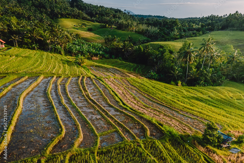 Aerial view of rice terraces with morning light. Countryside in Bali island.