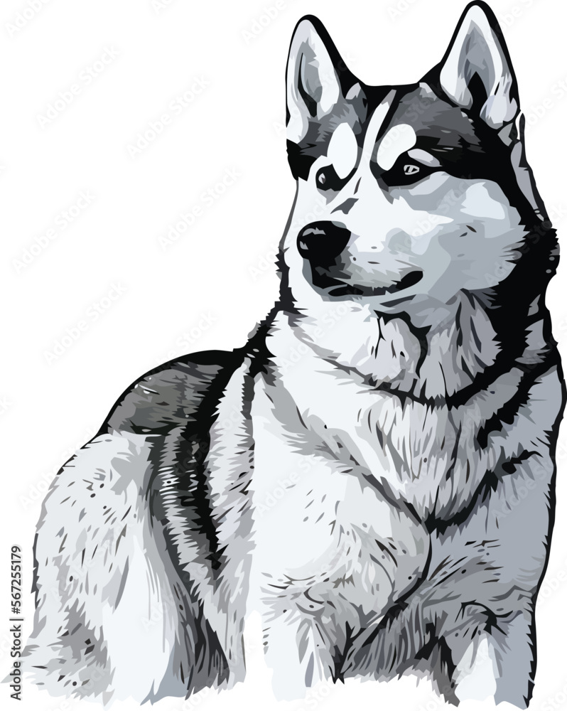 Husky Dog Watercolor Sketch Hand Drawn Artwork Painting Drawing ...