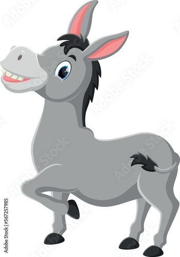 Cartoon funny donkey isolated on white background